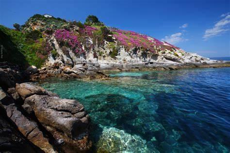 isola d elba